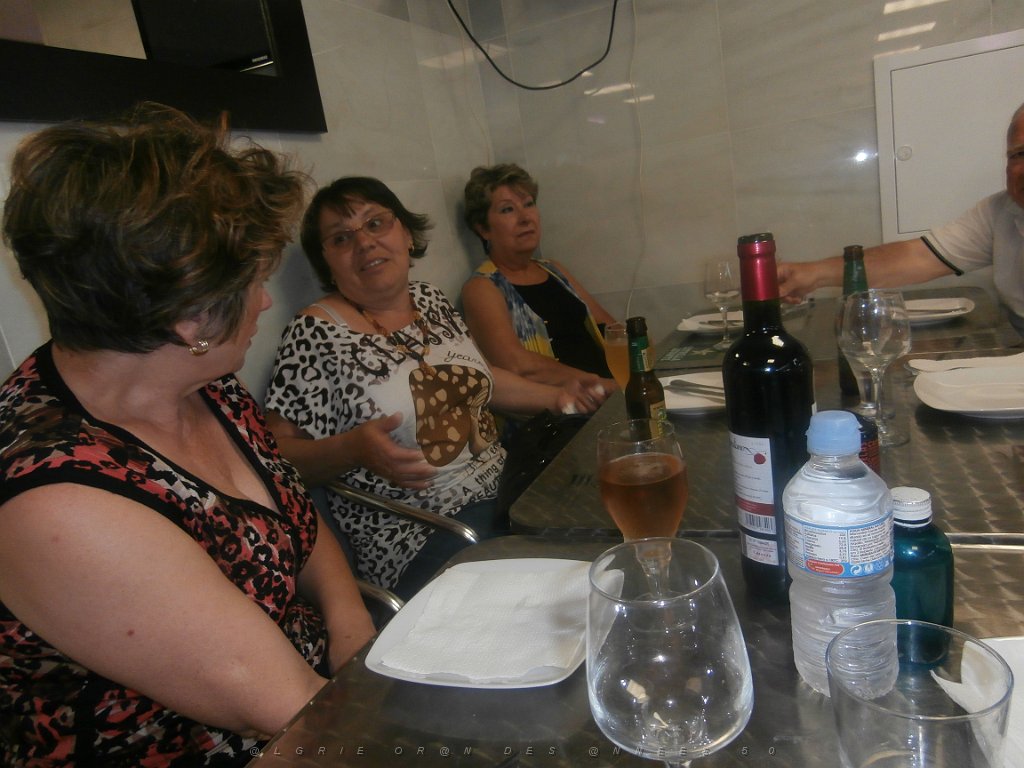 2015 06 06 et 07  APNA A DALIAS ALMERIA  (240).JPG